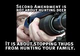 SecondAmendment.jpg image by The_Regulator